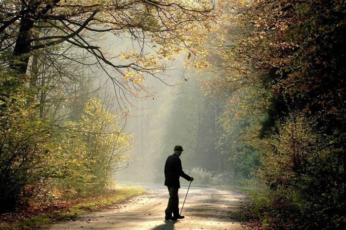 Older man through the country road in autumn forest in the light of the rising sun.