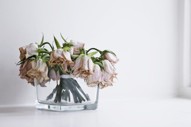 Glass vase of neglected dying roses on the window ledge of a modern home.