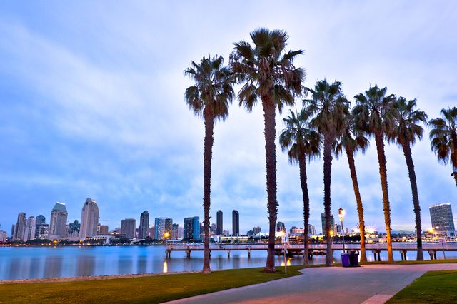 Palm trees stand tall along a waterfront walkway, with a city skyline visible across the water under a cloudy sky at dusk.
