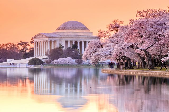 Monument reflected in water, surrounded by blossoming cherry trees, during a serene sunset, with a few people walking nearby.