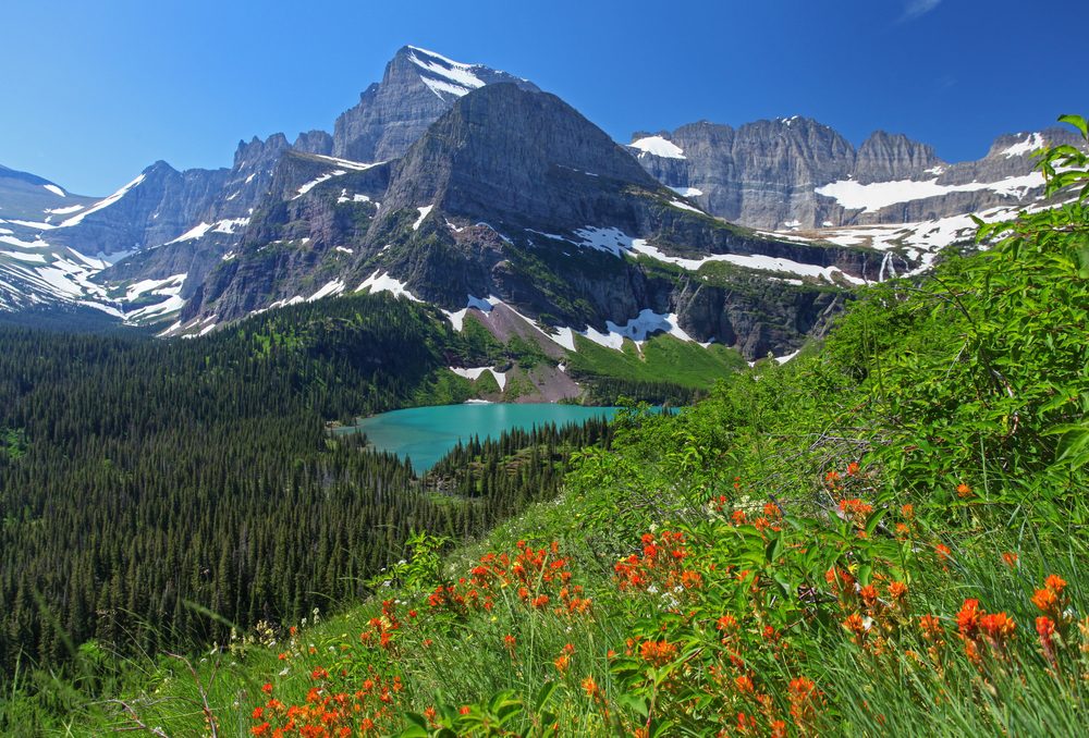 Mountains overlook a turquoise lake surrounded by dense forest, with vibrant red flowers in the foreground, under a clear blue sky.