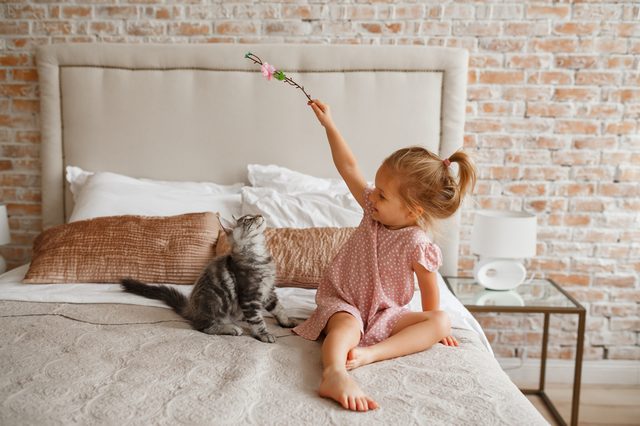 Girl in a pink dress holds a flower above a cat on a bed, against a brick wall backdrop.