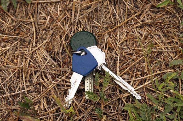 Lost the keys on the grass