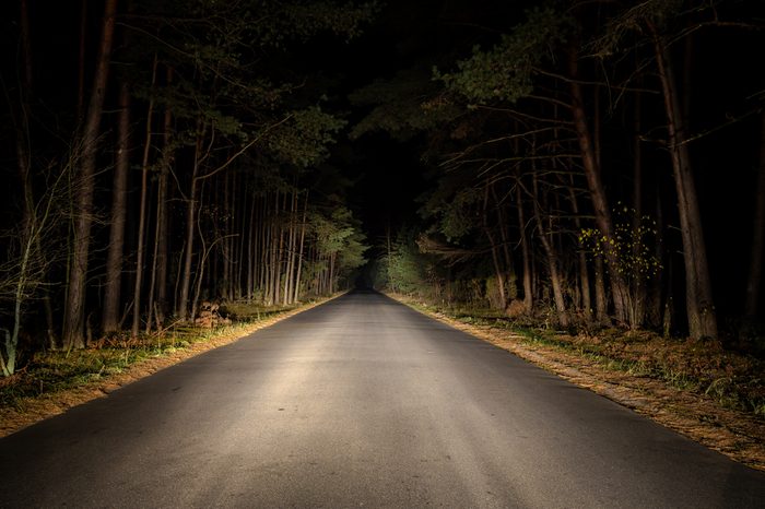 Night Road on dark forest.