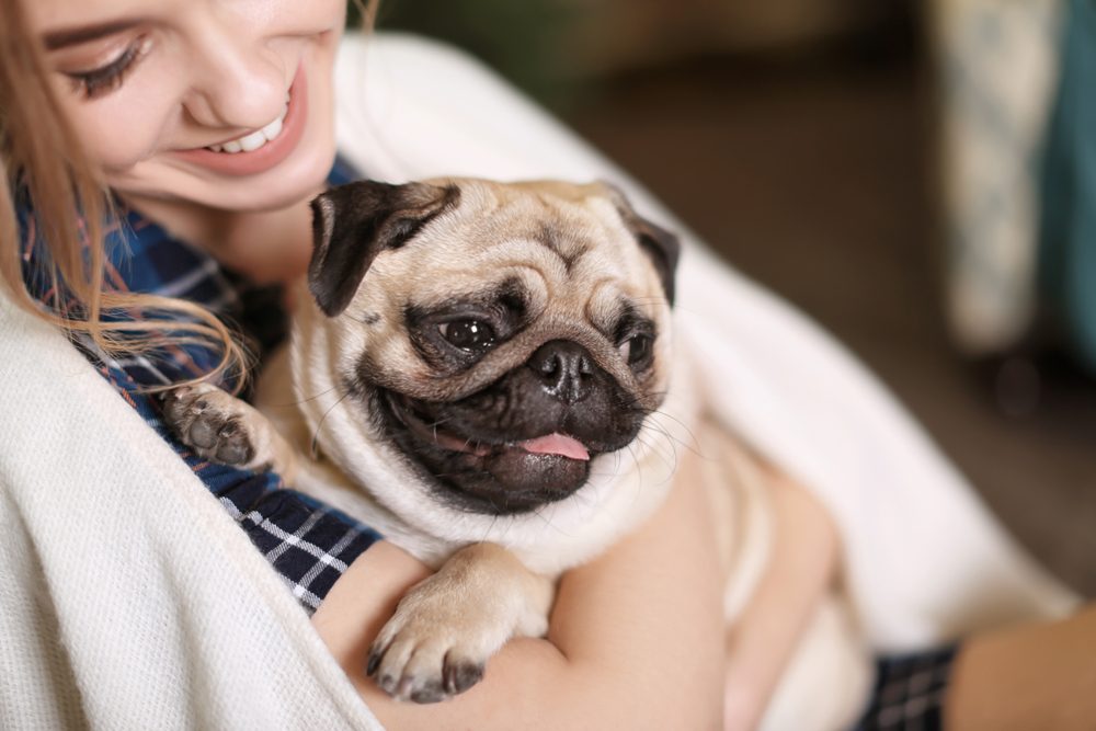 Young woman with cute pug dog at home. Pet adoption