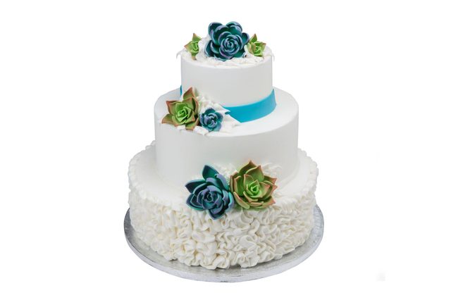 Two-tier white cake adorned with green and blue sugar succulents, set on a silver board against a plain background.