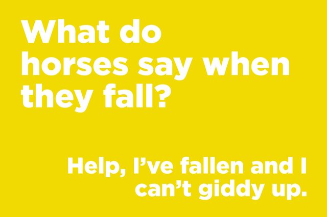 Text delivers a horse joke on a yellow background, asking, "What do horses say when they fall?" answered with "Help, Iâ€™ve fallen and I canâ€™t giddy up."