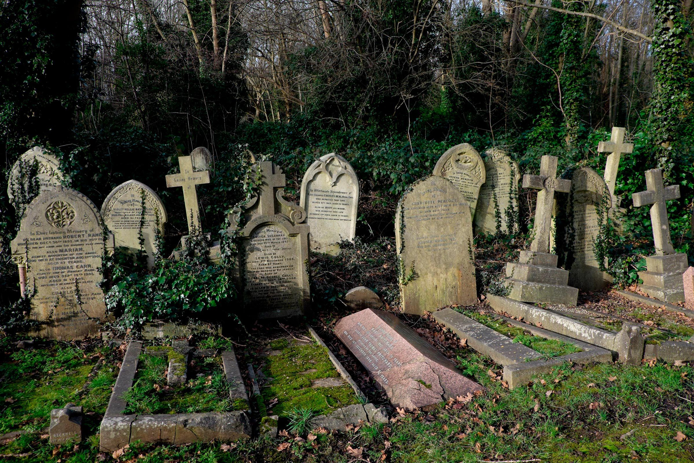 Highgate cemetery
