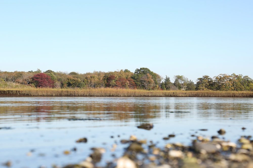 Autumn trees reflecting on river in Bristol, Rhode Island
