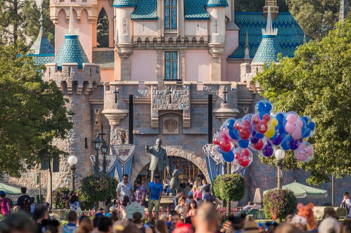 Sleeping Beauty Castle