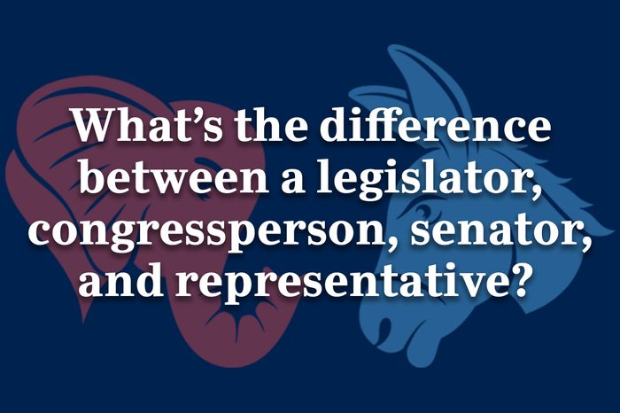 legislature, congressperson, senator, representative