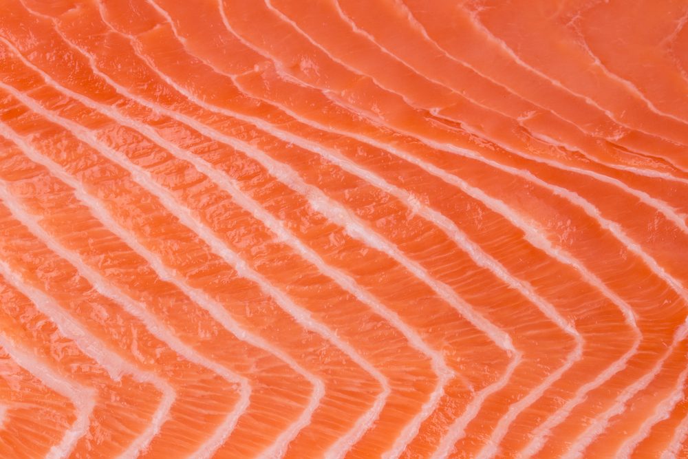 Close up of salmon fillet. Macro. Whole background.