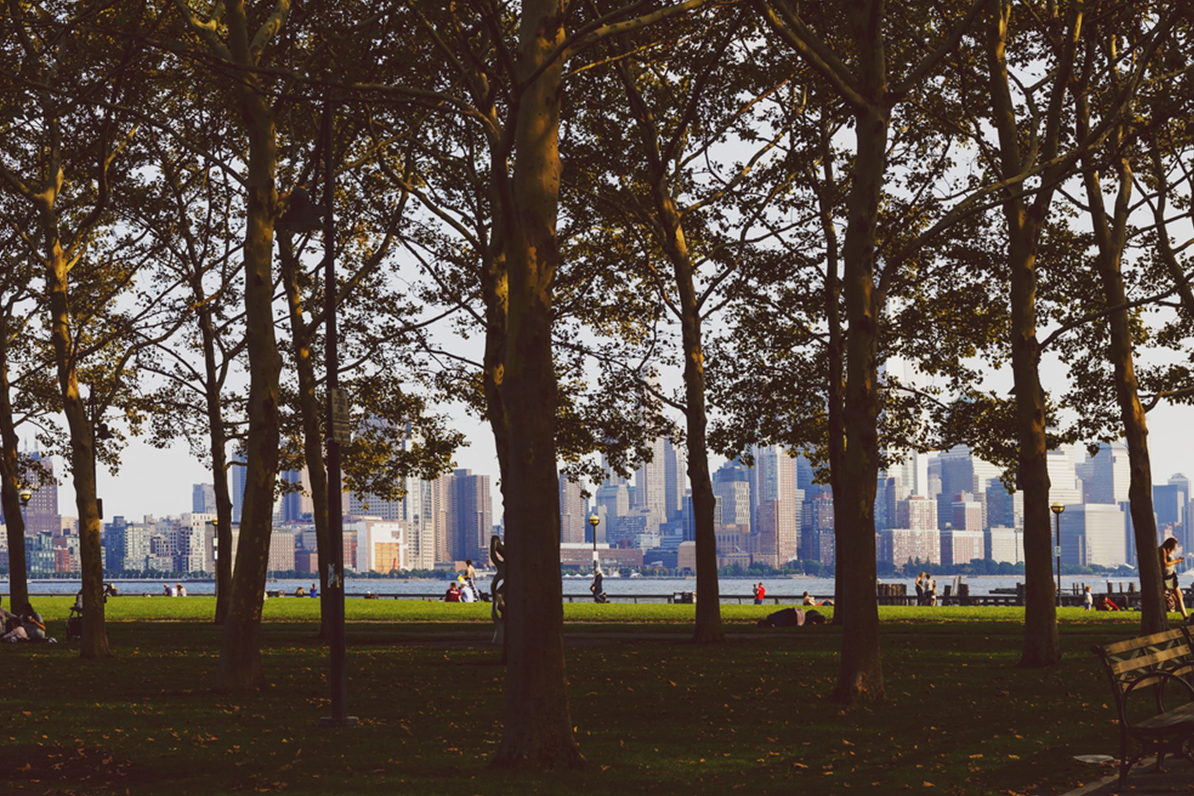 Trees stand in a park, framing people relaxing by the water, with a city skyline in the background.