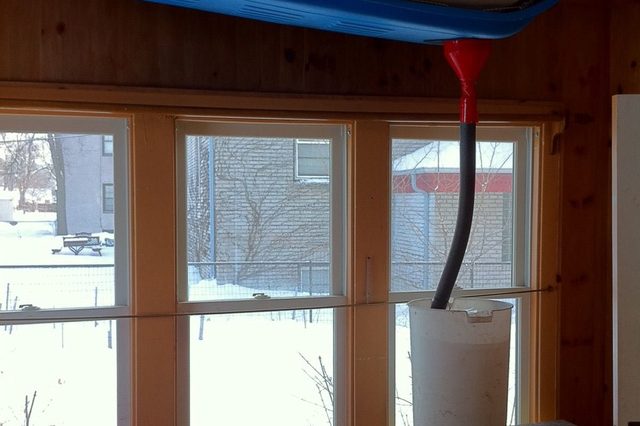 Blue sled collects drips from leak in wooden ceiling, draining into white bucket on tabletop by snowy window.