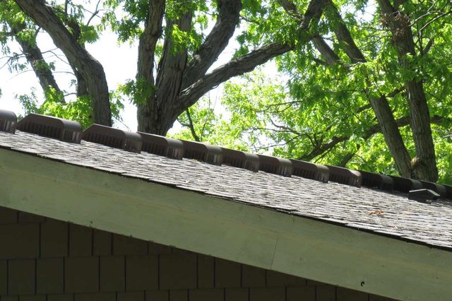 Roof vents line the roof edge beneath leafy trees in a sunny setting.