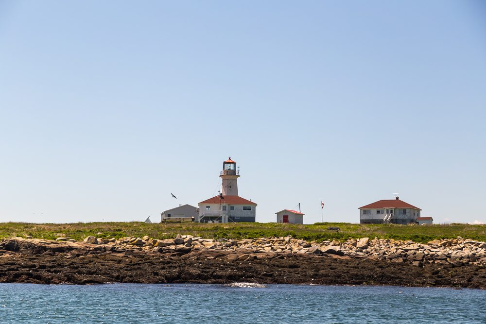 Lighthouse stands tall, surrounded by buildings on a rocky, grassy island with clear skies and ocean in the foreground.