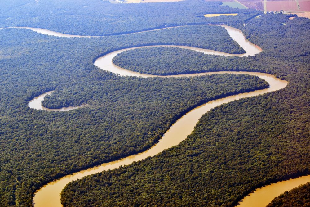 Aerial view of a winding river snaking through a dense, green forest landscape under a clear sky.