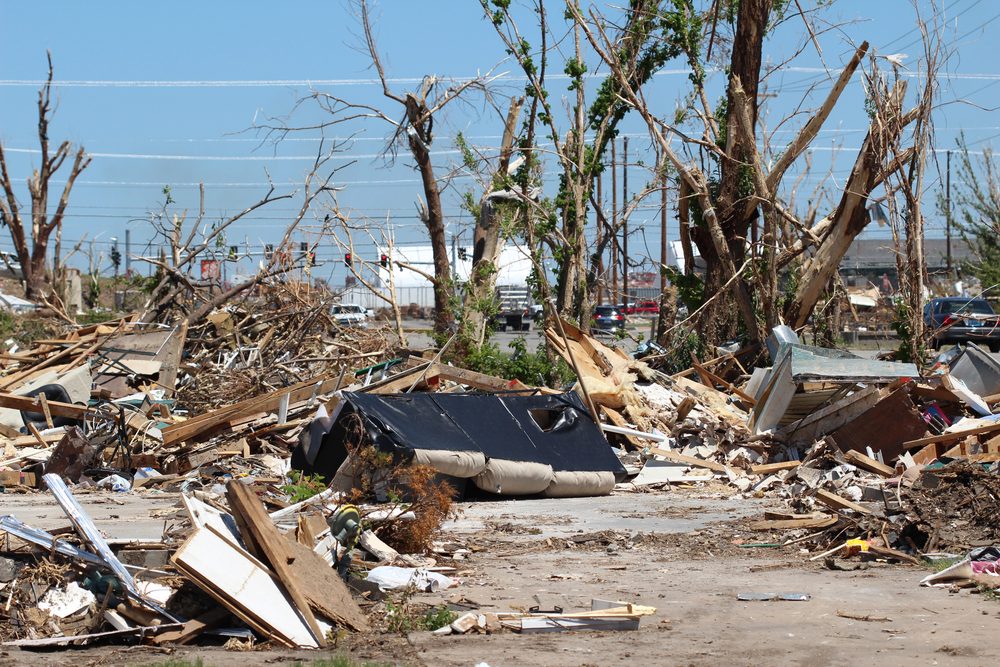 Debris cluttering ground, trees stripped bare, amidst urban wreckage; scattered remnants of buildings and vegetation under a clear blue sky.