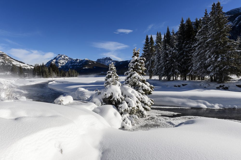 Snow-covered trees stand by a gently flowing river, surrounded by mountains and a clear blue sky, creating a peaceful winter landscape.