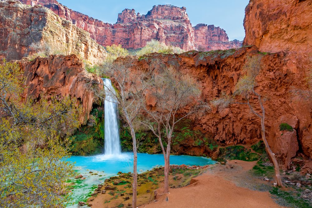 Waterfall plunges into clear turquoise pool, surrounded by red rocky cliffs and sparse trees in a desert canyon setting.