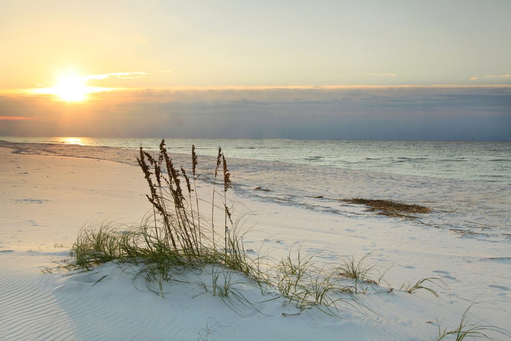 Grass sways gently on a sandy beach, as the sun sets over the ocean, casting a warm glow across the scene.