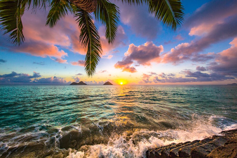 Palm leaves frame a vibrant sunset over ocean waves, with small islands visible on the horizon under a colorful, cloud-filled sky.
