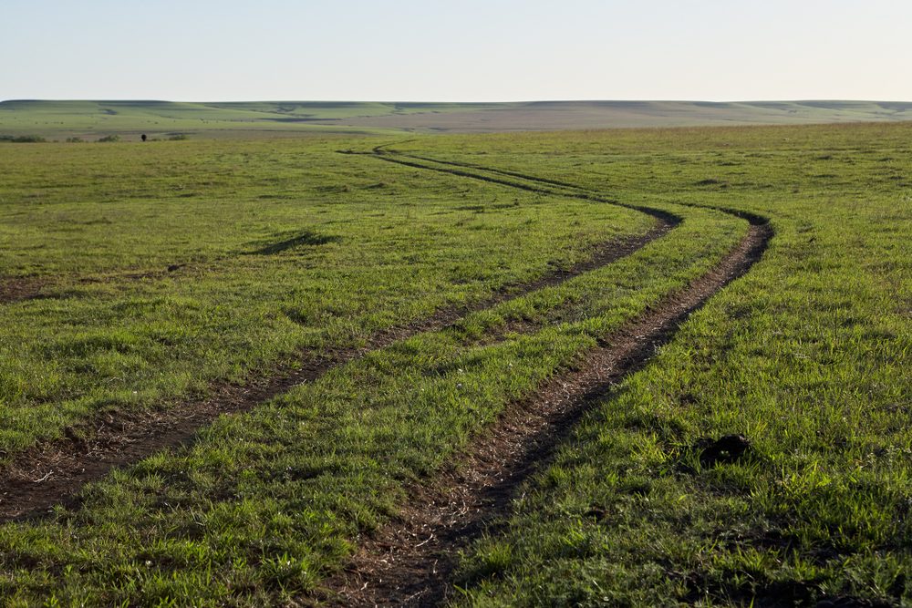 Grass path bends across a vast, open plain under a clear blue sky.