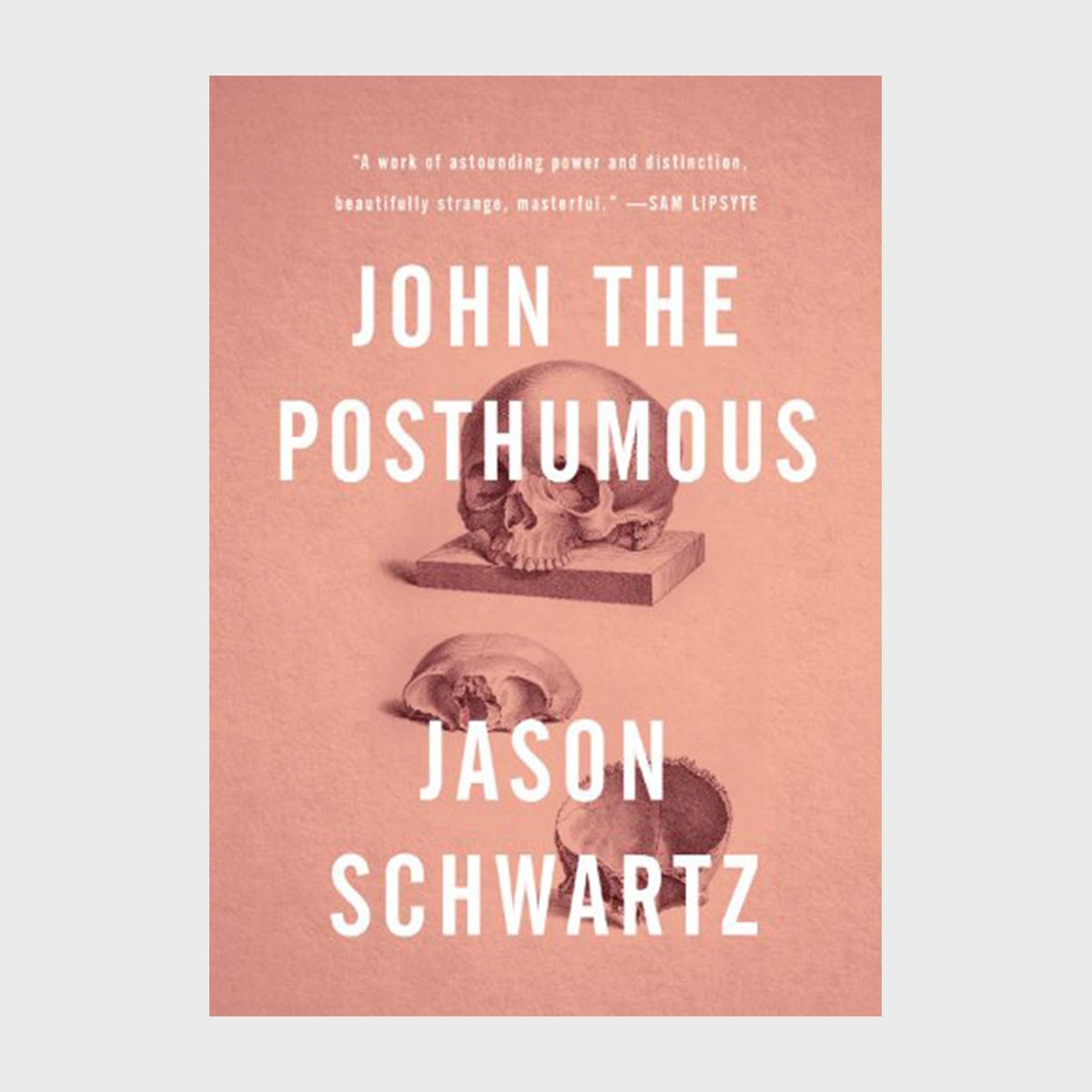 John The Posthumous Book