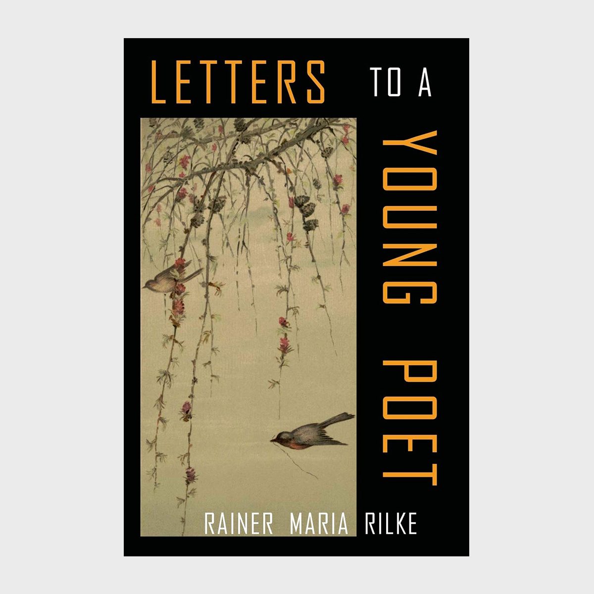 Letters To A Young Poet Book
