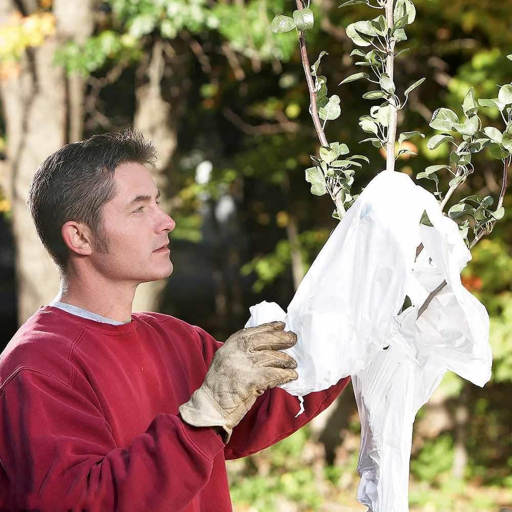 Don't choose a problem tree