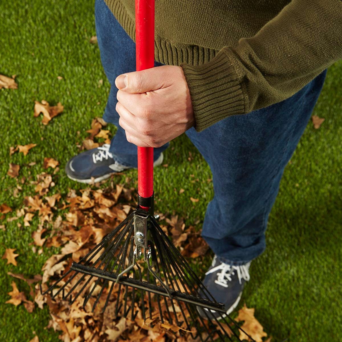 blister buster raking leaves