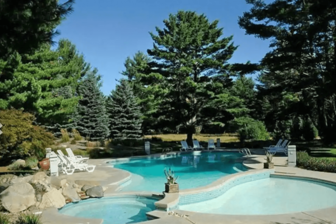 Pool surrounded by deck chairs, nestled among large evergreen trees under a clear blue sky.