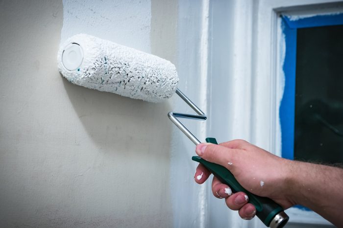 Hand rolling white house paint/primer on prepped wall, using hand roller.