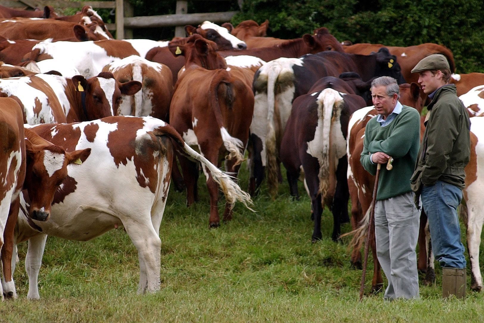 Royal photocall at Duchy Home Farm, Gloucestersire, Britain - 29 May 2004