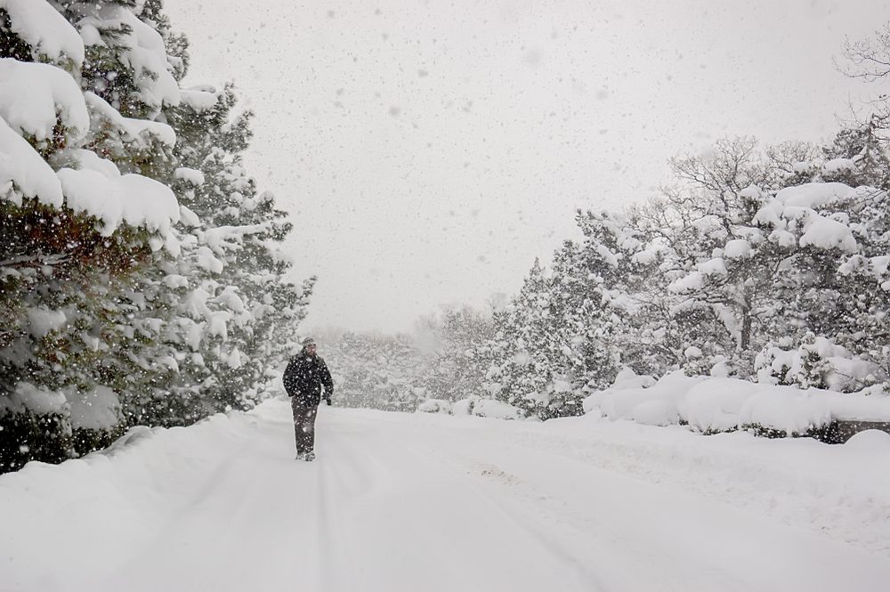 Person walks down a snow-covered road amidst falling snow, surrounded by snow-laden trees under a gray sky.