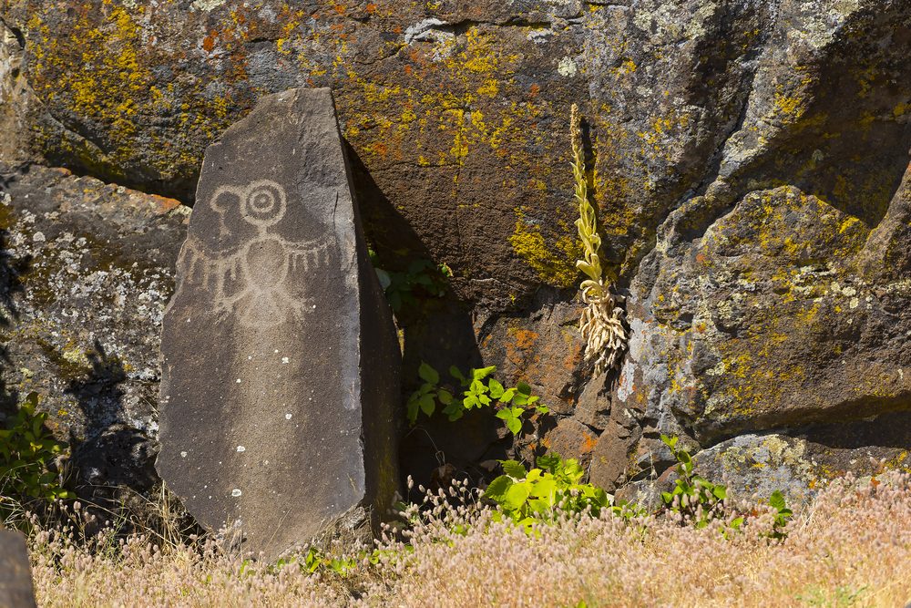Stone depicts an owl petroglyph, resting upright against a lichen-covered rock face, surrounded by scattered vegetation and grasses.