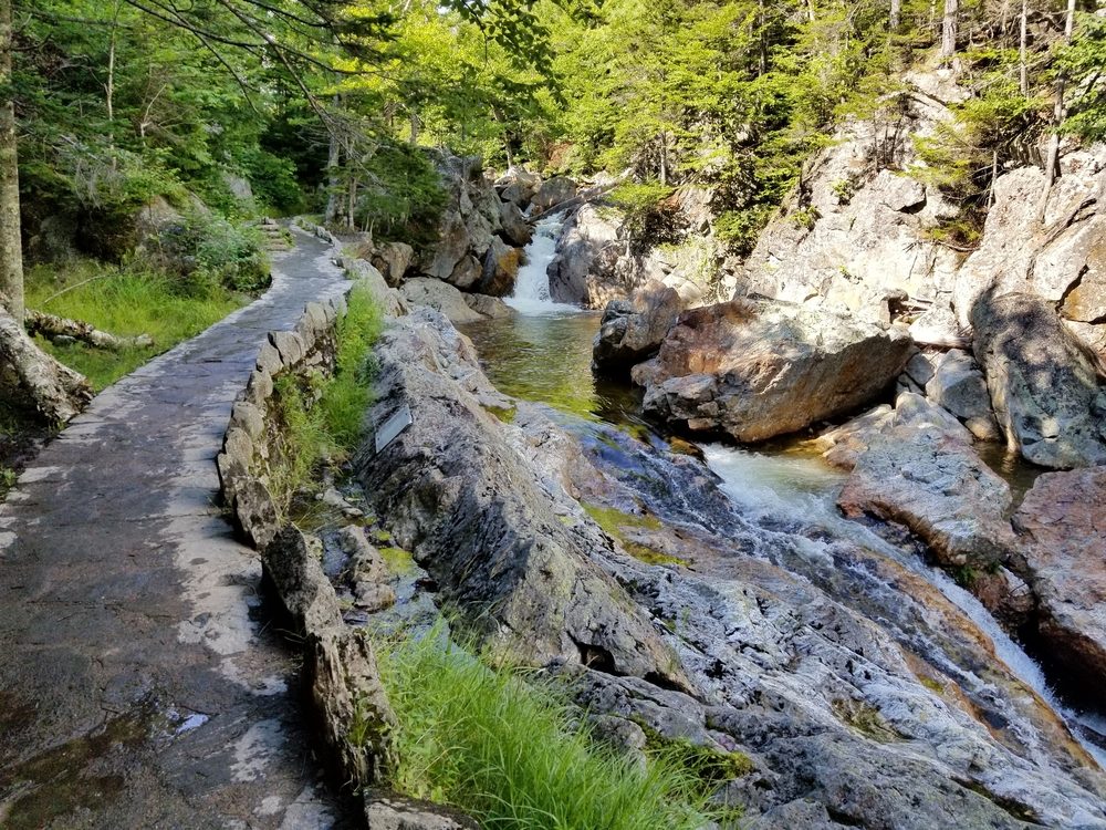 Pathway curves alongside a rocky stream, bordered by lush green trees, under bright sunlight.