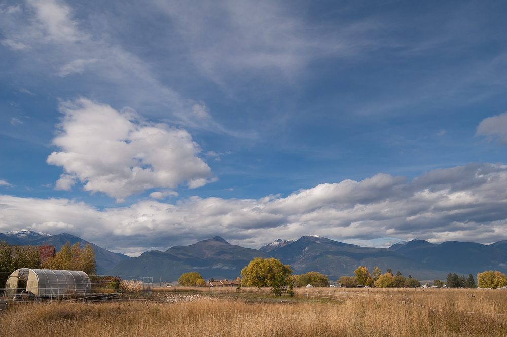 Greenhouse sits quietly amidst vast grassy field, under a sky filled with clouds, with mountains in the distant background.