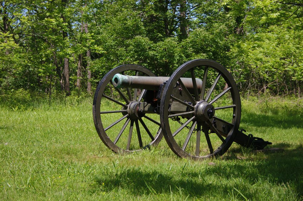 Cannon rests on lush green grass, surrounded by dense trees in a sunny outdoor setting.