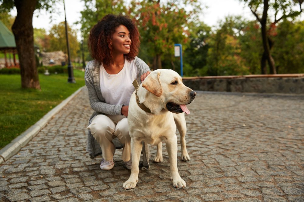 Dog stands alert beside a crouching woman on a cobblestone path in a park with green trees and grass.