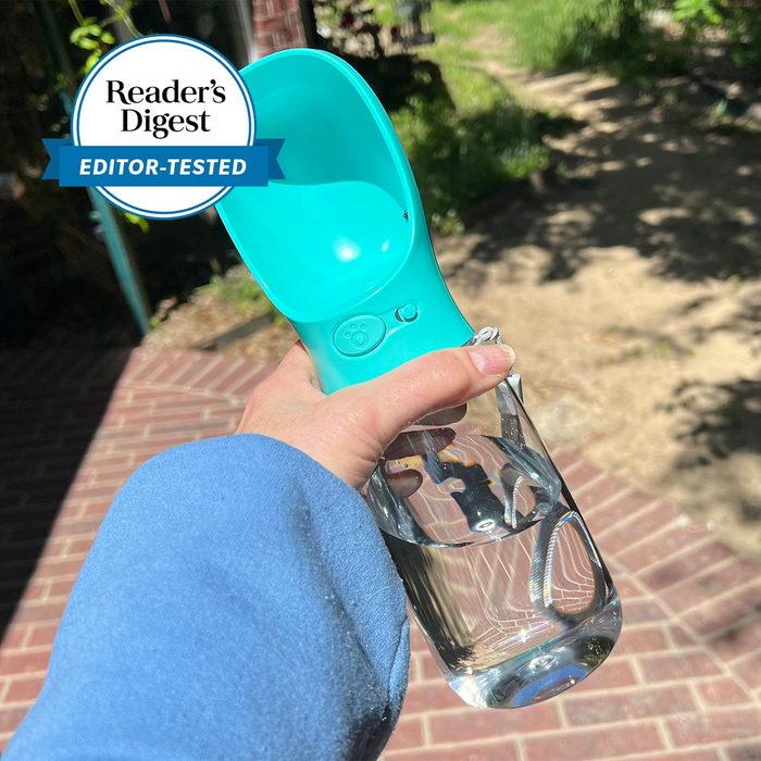 Hand holds turquoise pet water dispenser on sunny brick pathway; 