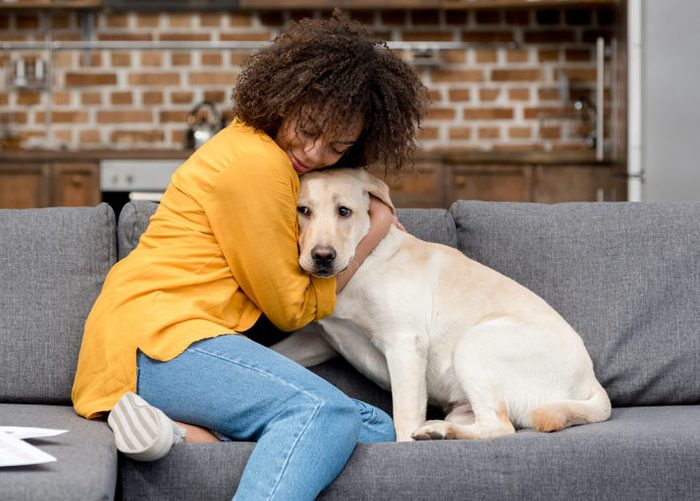 beautiful young woman working at home and cuddling with her dog