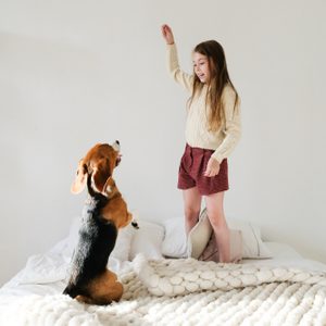 A dog sits up eagerly while a girl stands on a bed holding a treat, in a cozy, well-decorated room.