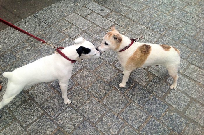 meeting old friends