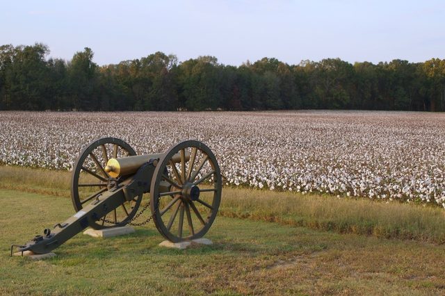 A cannon rests on grass, facing a vast cotton field bordered by a dense tree line under a clear sky.