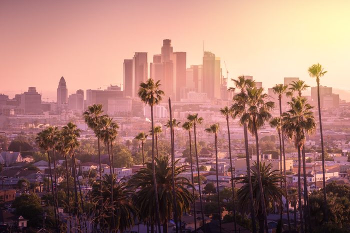 Beautiful sunset of Los Angeles downtown skyline and palm trees in foreground