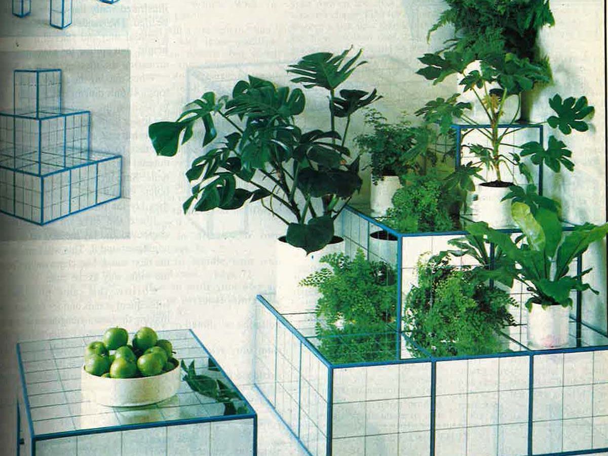 Grid-like tables hold vibrant green plants and a bowl of apples, set against a white wall with decorative designs.