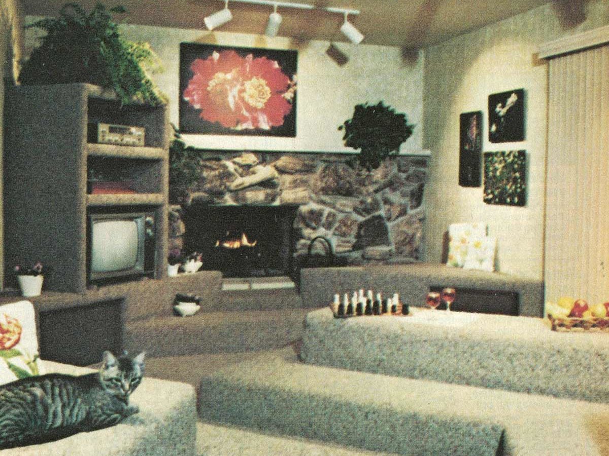 Cat lounges on carpeted steps in a cozy living room featuring a stone fireplace, plants, artwork, and a television.
