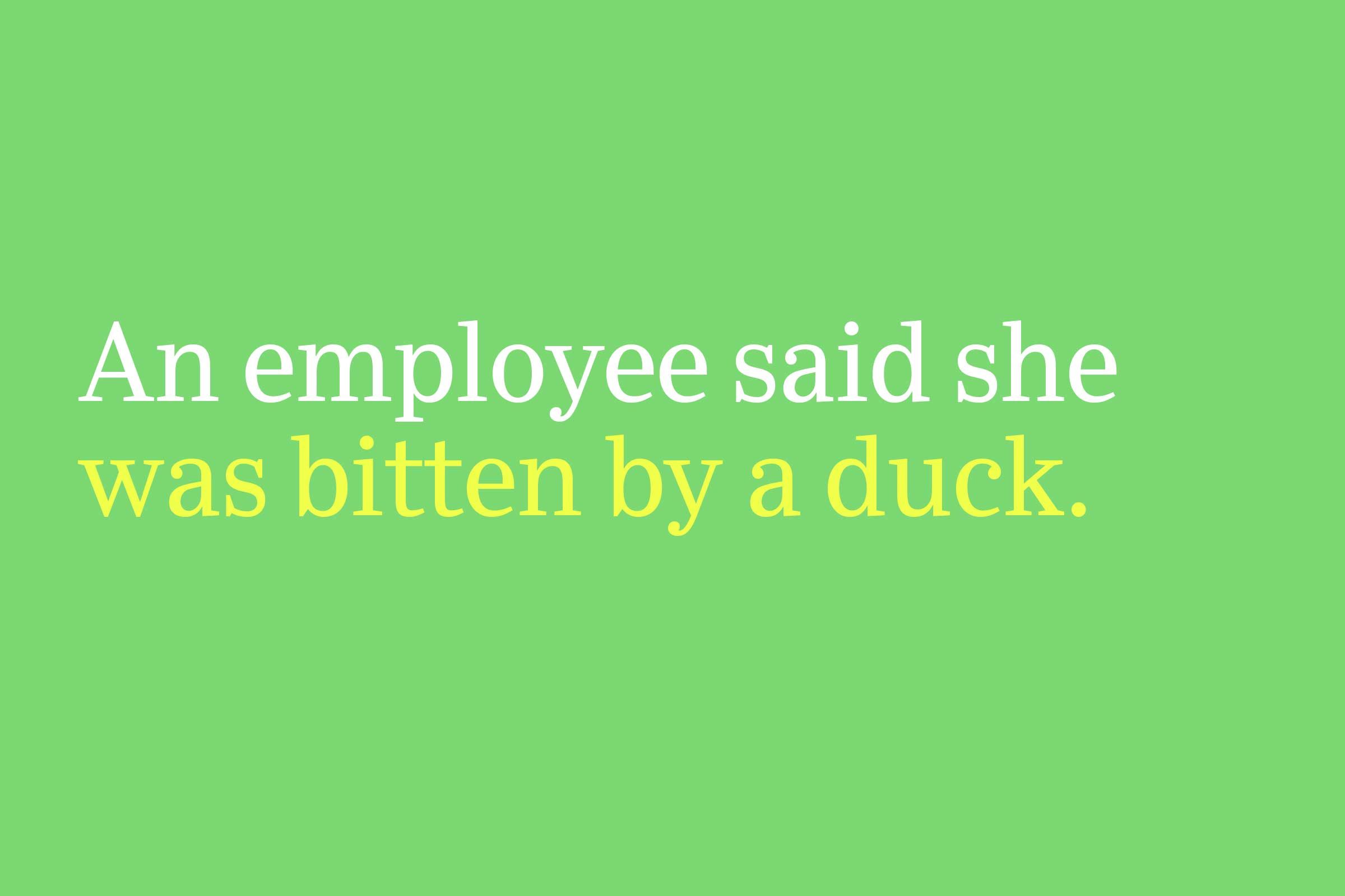 was bitten by a duck