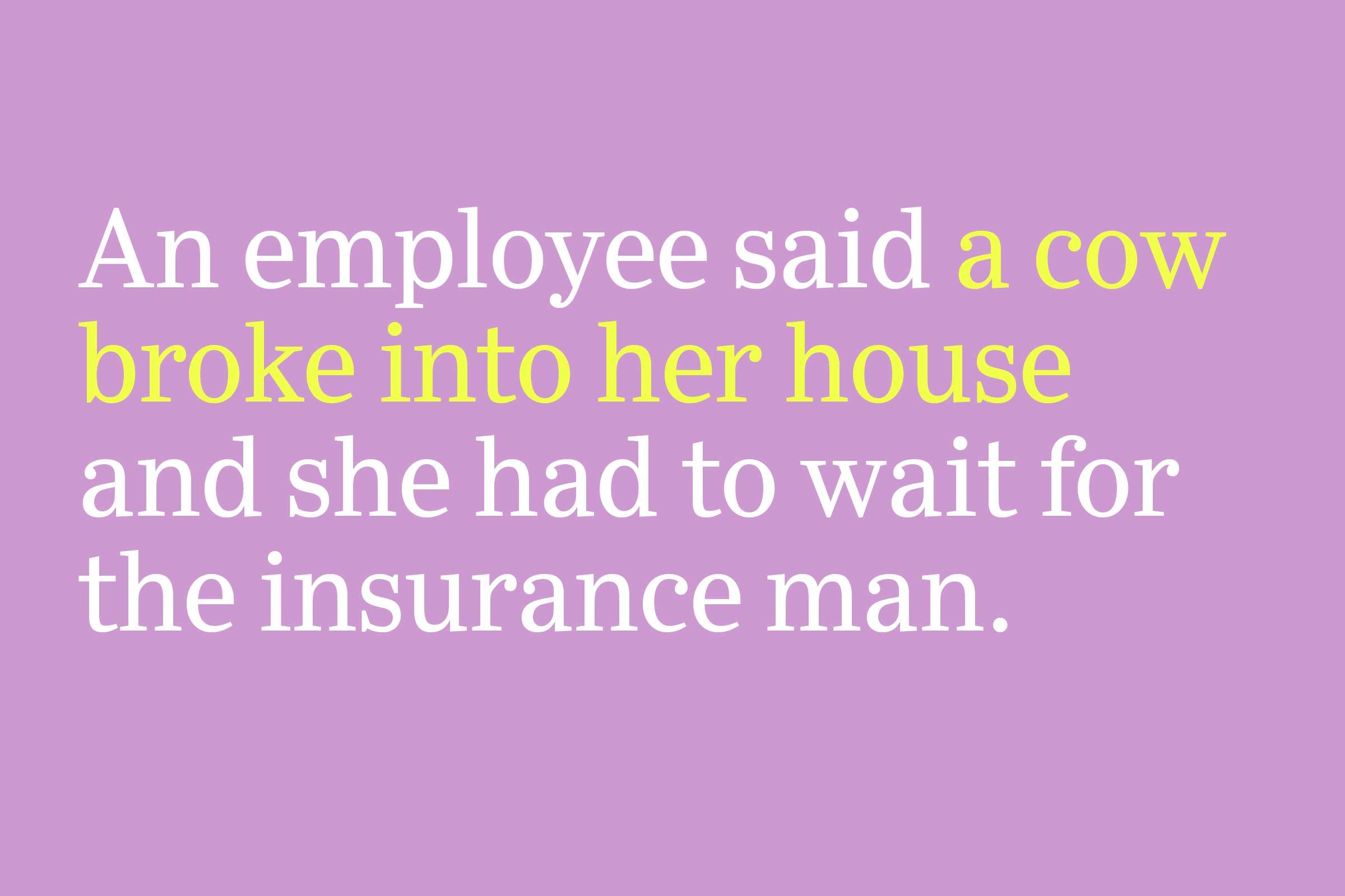 a cow broke into her house